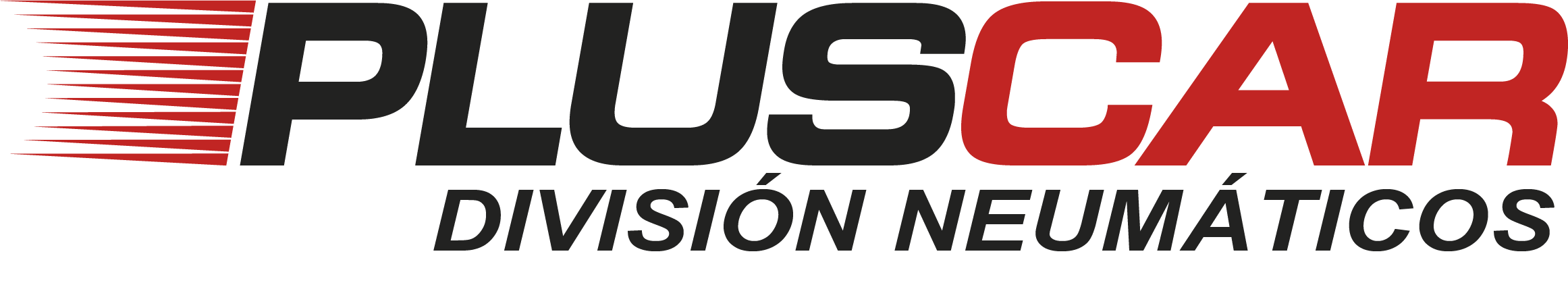 Logo de Pluscar División Neumáticos